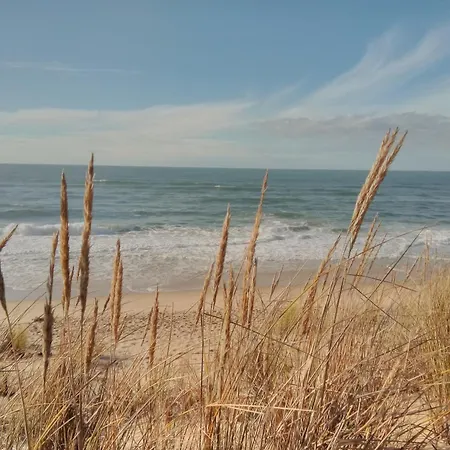 Feriehus Maison Centre Avec Jacuzzi *