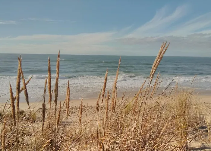 Feriehus Maison Centre Avec Jacuzzi *